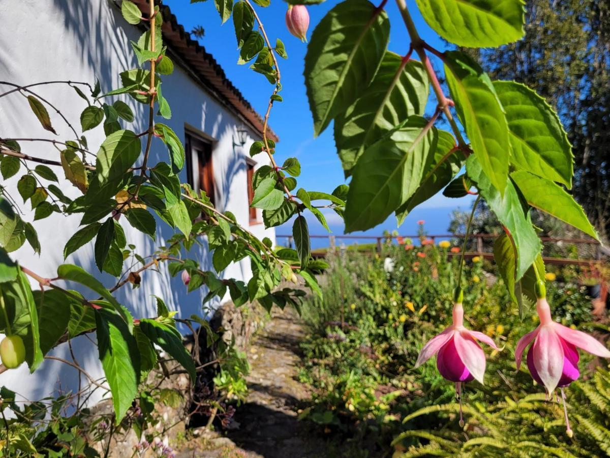 Finca Llano De La Cebolla Icod De Los Vinos Exterior foto