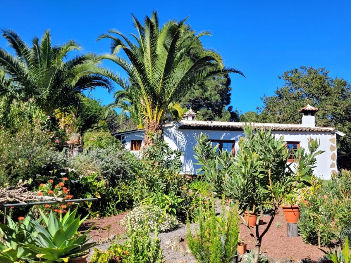 Finca Llano De La Cebolla Icod De Los Vinos Exterior foto